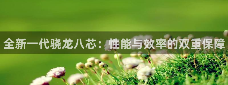 壹号大舞台官网：全新一代骁龙八芯：性能与效率的双重保障