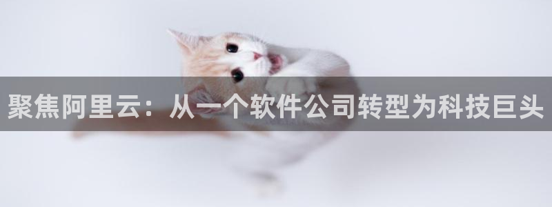 南宫NG平台最新版本下载：聚焦阿里云：从一个软件公司转型为科技巨头