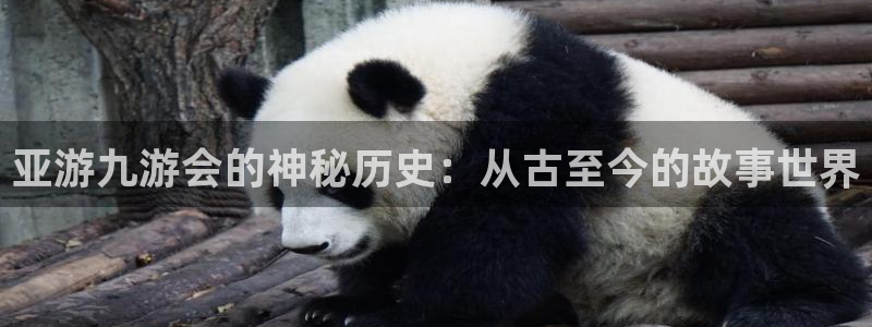 壹号app下载官网娱乐：亚游九游会的神秘历史：从古至今的故事世界