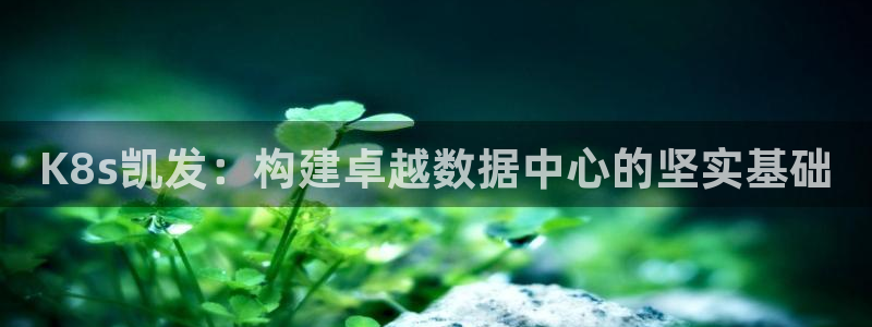 南宫NG电子游戏官网：K8s凯发：构建卓越数据中心的坚实基础