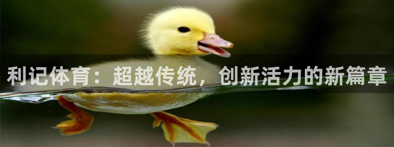 南宫NG平台登录：利记体育：超越传统，创新活力的新篇章