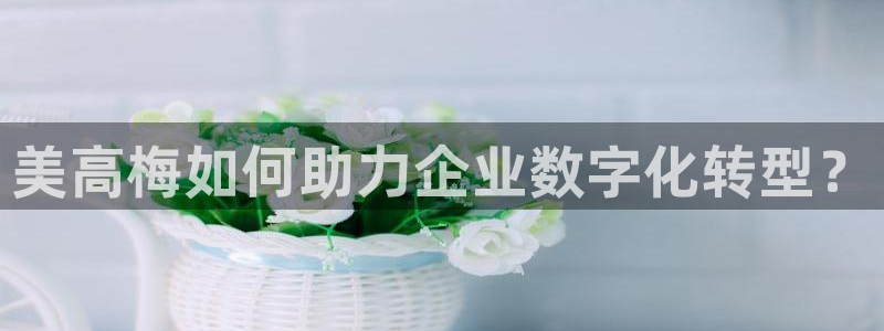 南宫NGccmpc：美高梅如何助力企业数字化转型？