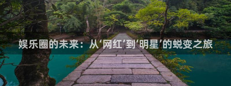 南宫NG注册网页版：娱乐圈的未来：从‘网红’到‘明星’的蜕变之旅