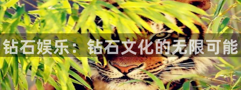 南宫NG.com：钻石娱乐：钻石文化的无限可能