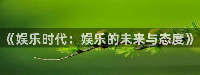 南宫NGapp网页入口：《娱乐时代：娱乐的未来与态度》