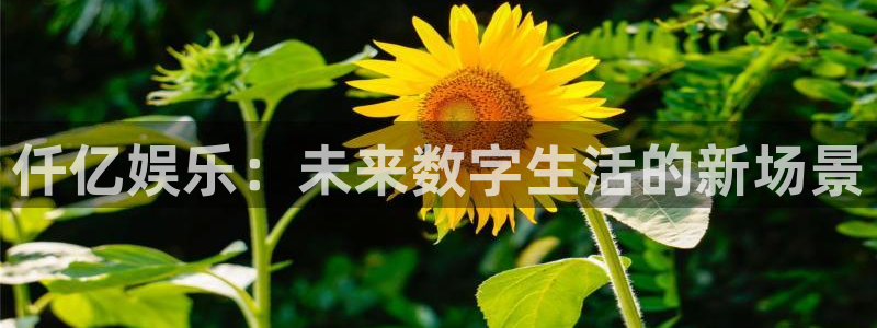 壹号大舞台：仟亿娱乐：未来数字生活的新场景