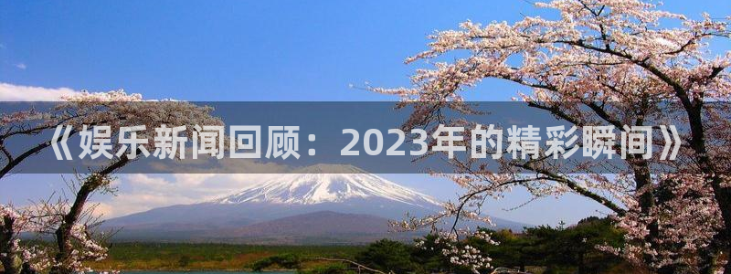 壹号官网app下载安装：《娱乐新闻回顾：2023年的精彩瞬间》