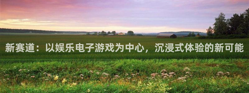 南宫NG电玩网官网入口：新赛道：以娱乐电子游戏为中心，沉浸式体验的新可能