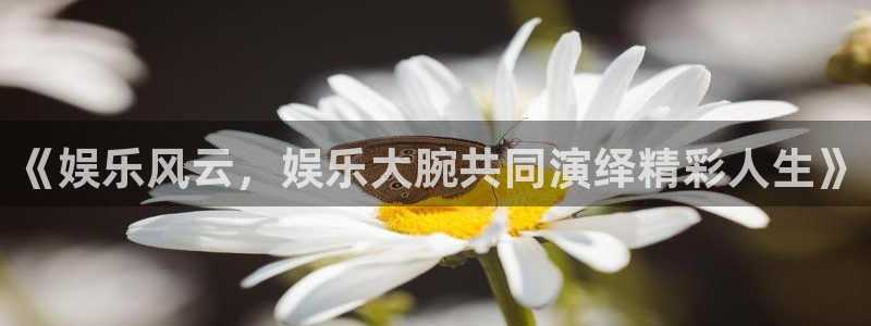 pg南宫NG平台下载入口：《娱乐风云，娱乐大腕共同演绎精彩人生》