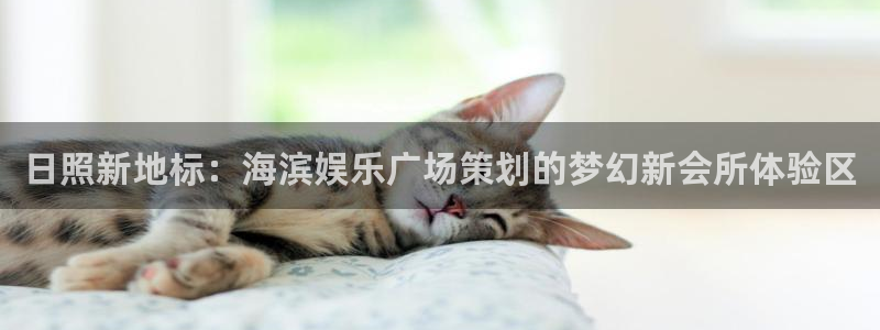 壹号电子娱乐app下载官网：日照新地标：海滨娱乐广场策划的梦幻新会所体验区