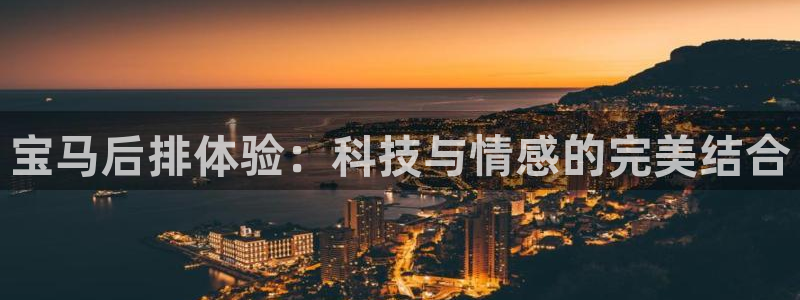 南宫NG官网入口：宝马后排体验：科技与情感的完美结合