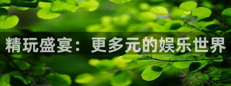 南宫NG注册网站app：精玩盛宴：更多元的娱乐世界